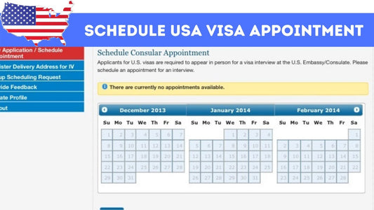 Appointment Freezes and Visa Slumps Threaten U.S. Enrollments